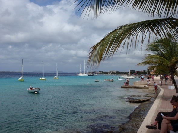 Bonaire Shore